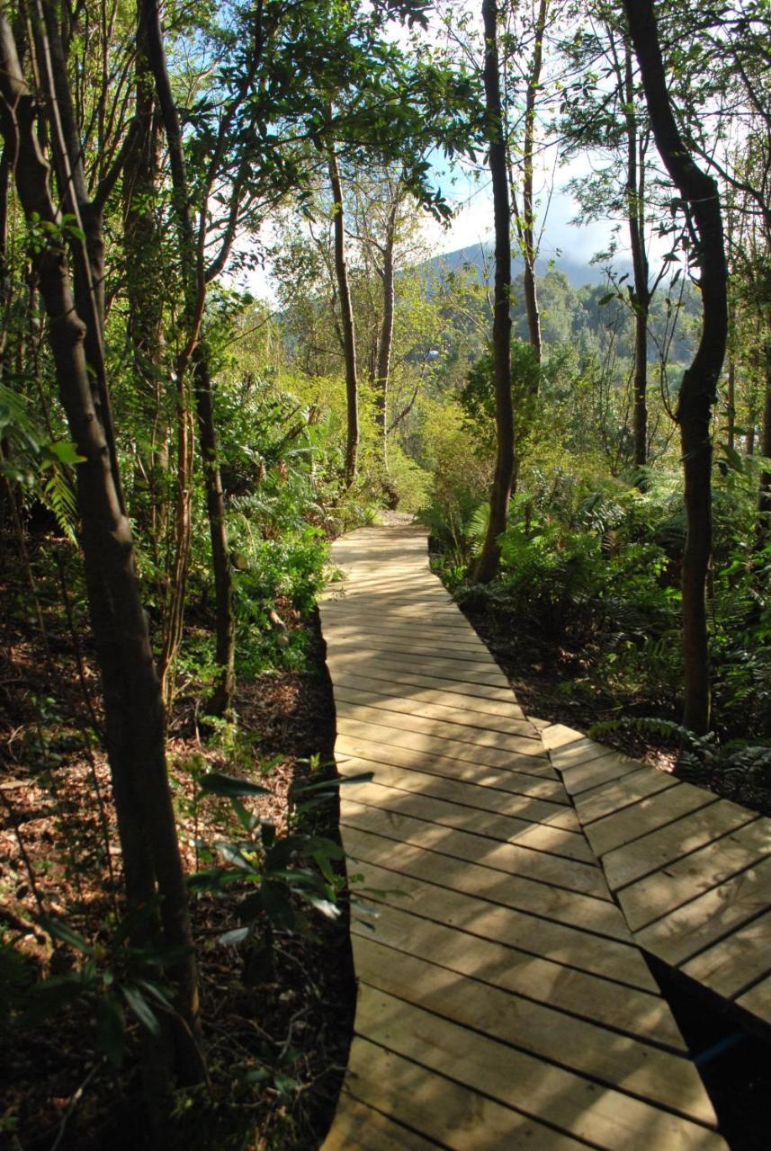 Chucao Bosque Y Cabanas Чайтен Екстер'єр фото